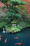 Japanese Garden, Tokyo, Japan