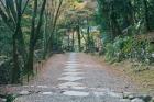 Kozanji Temple, Kyoto, Japan