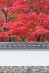 Eikando Temple, Kyoto, Japan