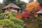 Tea House, Kyoto, Japan