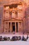 Camels at the Facade of Treasury (Al Khazneh), Petra, Jordan