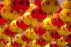 Red and yellow Chinese lanterns hung for New Years, Kek Lok Si Temple, Island of Penang, Malaysia