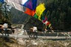 Mule train on trail to Namche Bazaar, Larja Bridge, Khumbu, Nepal