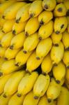Oman, Dhofar Region, Salalah. Local bananas for Sale