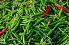 Maeklong railroad tracks market, Thai peppers, Bangkok, Thailand