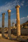 Ruins of Roman Times, Ephesus, Turkey