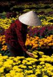 Gardens with Woman in Straw Hat, Mekong Delta, Vietnam