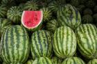 UAE, Abu Dhabi Watermelon at the market