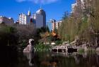 Chinese Garden, Darling Harbor, Sydney, Australia