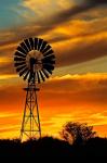 Windmill, Oodnadatta Track, Outback, Australia