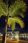 Cairns, waterfront at night, North Queensland, Australia