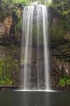 Millaa Millaa Falls, Queensland, Australia