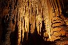 Stalactites, Newdegate Cave, Hastings Caves, Australia