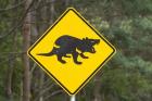 Tasmanian Devil warning sign, Tasman Peninsula, Australia