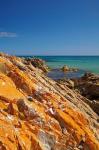 Orange Lichen, Green Point, Ann Bay, Australia