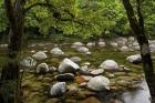 Boulders and Mossman River, North Queensland, Australia