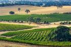 Mountadam vineyard winery on High Eden Road, Barossa Valley, Australia
