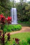 Millaa Millaa Falls, Queensland, Australia