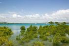 Australia, Queensland, Town of 1770, Bustard Bay