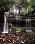 Australia, Tasmania, Mount Field NP, Russell Falls