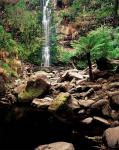 Erskine Falls, Lorne, Victoria, Australia