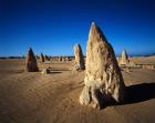 The Pinnacles, Nambung National Park, Western Australia, Australia