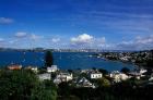 Torpedo Bay, Auckland, North Island, New Zealand, Oceania