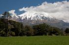 View of volcanic mountain Mt Taranaki, North Island, New Zealand