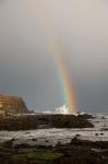 New Zealand, South Island A rainbow arcs over Curio Bay