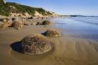 Moeraki Boulders Scenic Reserve, South Island, New Zealand