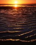 Coast at sunset, Abel Tasman National Park, New Zealand