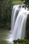 Whangarei Falls, Whangarei, Northland, New Zealand