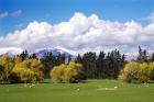 Farmland in Southland, South Island, New Zealand