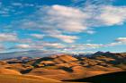 North Otago Landscape, South Island, New Zealand