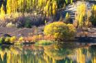 Autumn Colours, Lake Dunstan, Central Otago, New Zealand
