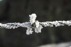 Frosty Barbed Wire, Otago, South Island, New Zealand