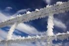 Frosty Wire Fence, Otago, South Island, New Zealand