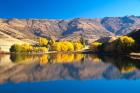 Pisa Range and Lowburn Inlet, Lake Dunstan near Cromwell, Central Otago