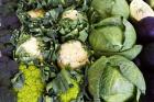 Vegetable Stall, Cromwell, Central Otago, South Island, New Zealand