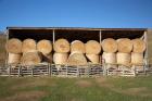 Hay Barn, Ahuriri Valley, North Otago, South Island, New Zealand