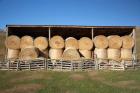 Hay Barn, Ahuriri Valley, North Otago, South Island, New Zealand