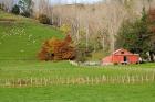 Wool Shed and Farmland, Kawhatau Valley, Rangitikei, North Island, New Zealand