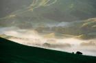 Misty Farmland near Martinborough, Wairarapa, North Island, New Zealand