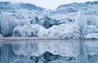 Reflections and Hoar Frost, Butchers Dam, near Alexandra, Central Otago, South Island, New Zealand