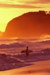 Surfer at Sunset, St Kilda Beach, Dunedin, New Zealand