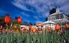 Winter Garden, Botanic Gardens, Dunedin, New Zealand