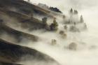 Te Mata Peak, Hawkes Bay, North Island, New Zealand