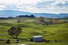 Farmland, Napier, Taihape Road, Hawkes Bay, North Island, New Zealand