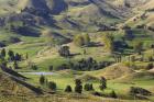 Farmland near Bells Junction, Rangitikei District, Central North Island, New Zealand