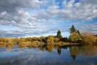 Waikato River near Taupo, North Island, New Zealand